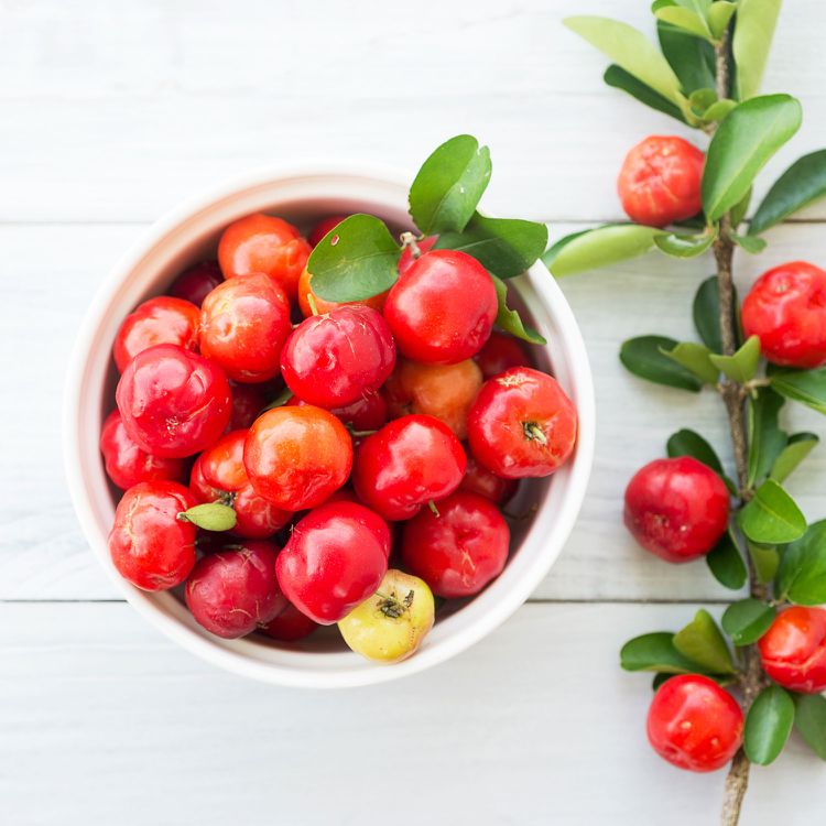 Acerola