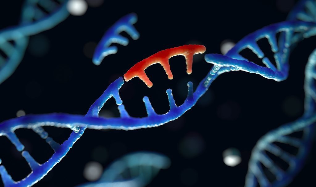 Gene Mutation