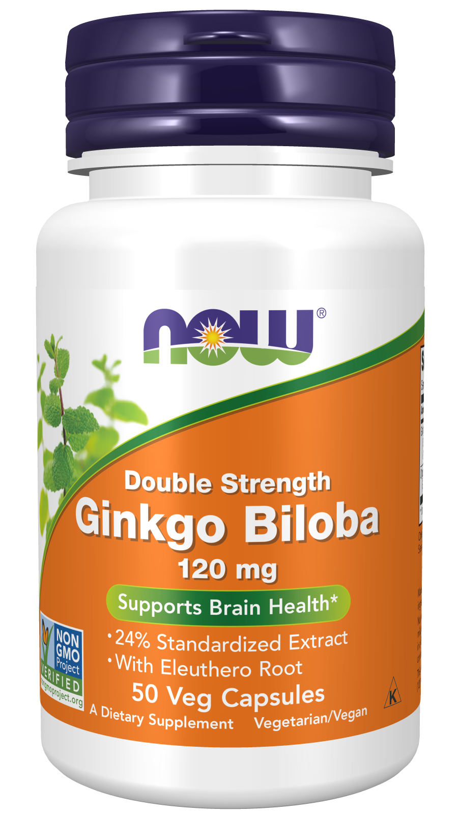 Ginkgo biloba