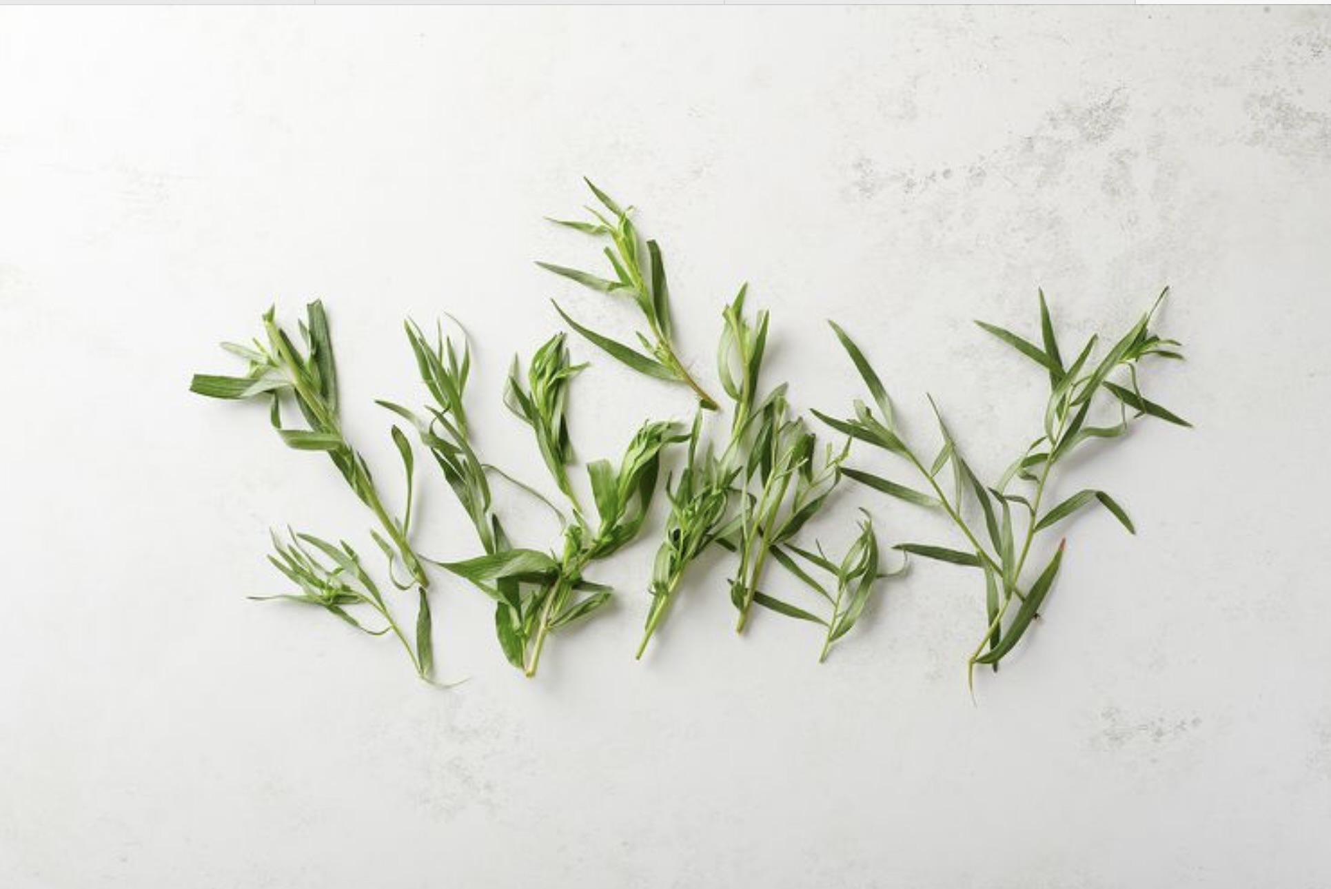 Tarragon