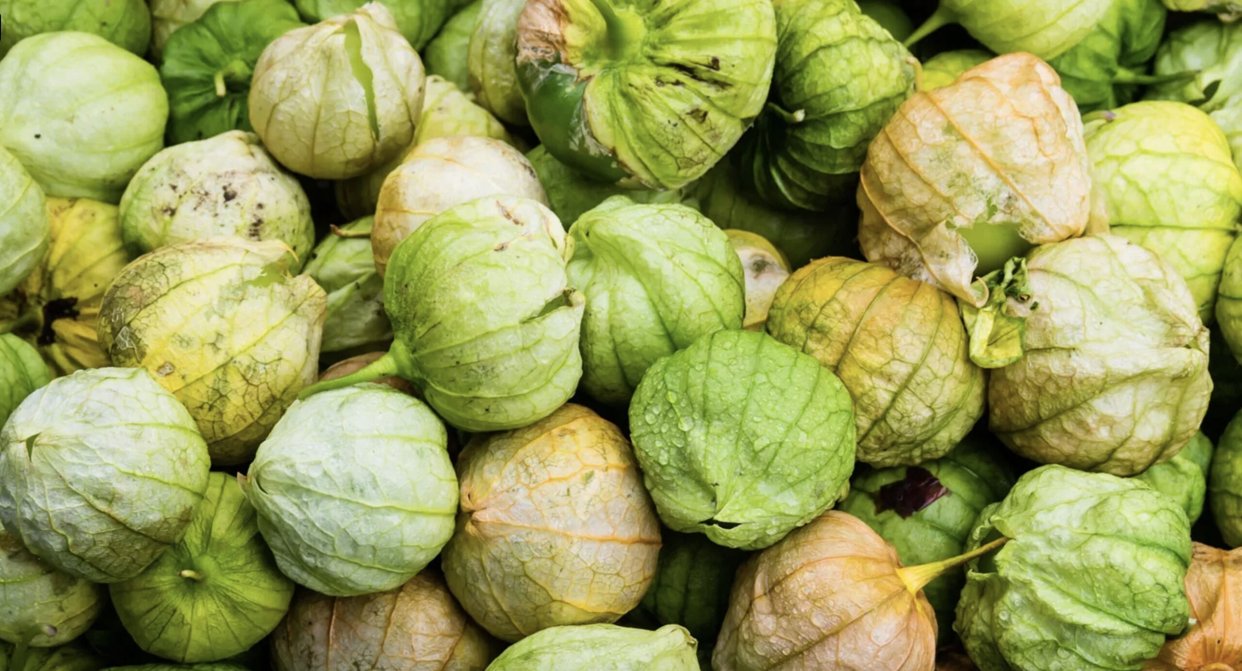 Tomatillos