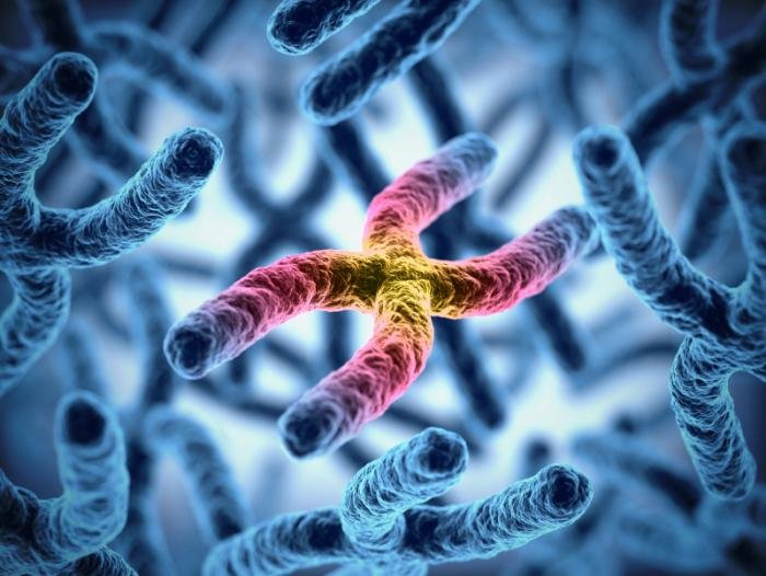 chromosomal disorder