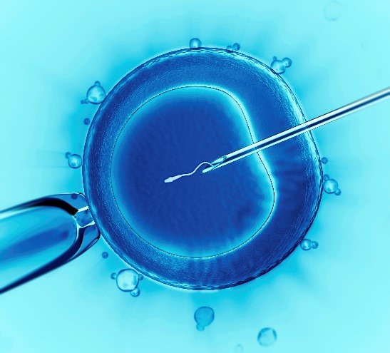 in vitro fertilization