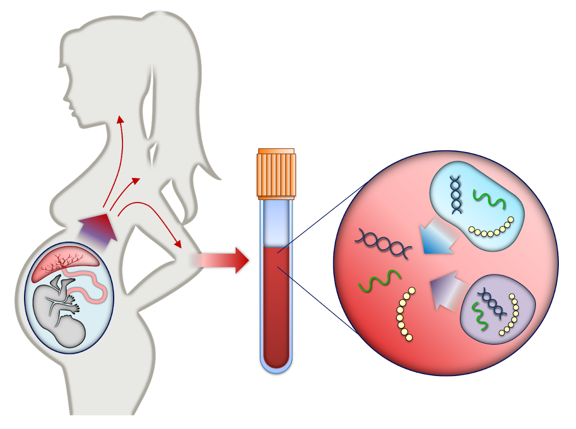 non-invasive neonatal testing