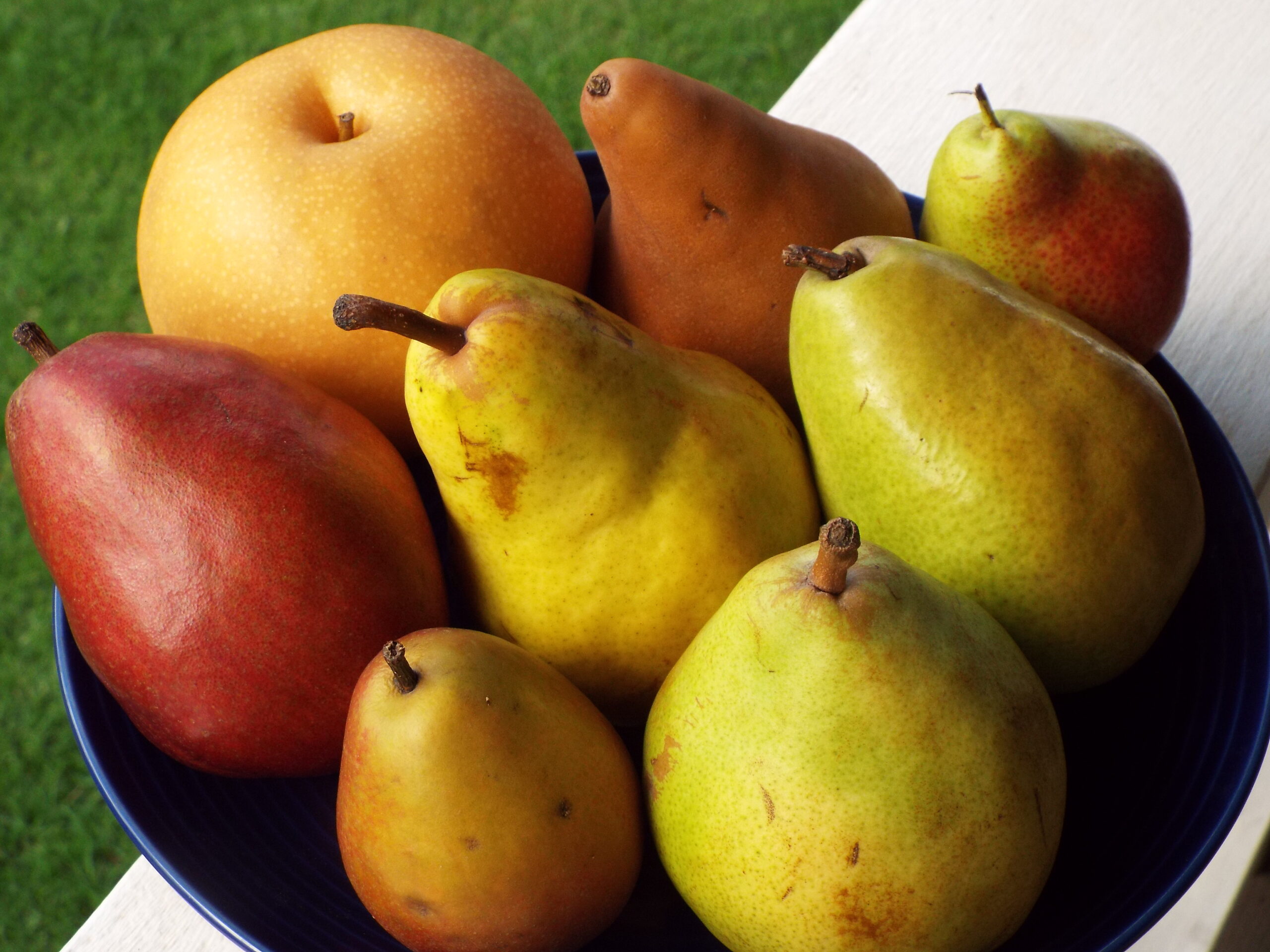 pears